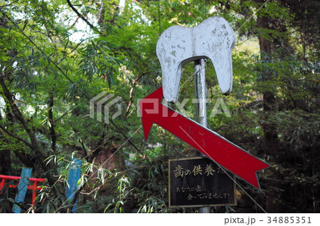歯の供養塔の看板 歯の供養塔の看板 34885351