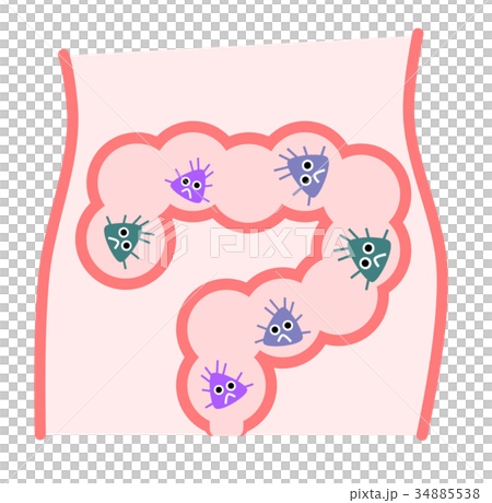 Intestinal illustration 34885538
