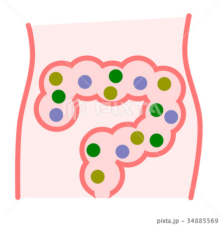 腸内イラスト 腸内イラスト 34885569