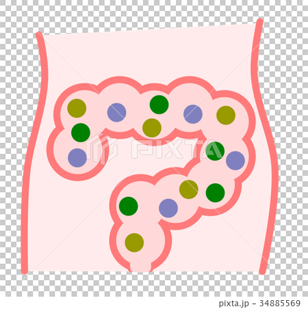 腸内イラスト 腸内イラスト 34885569