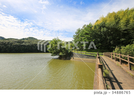 愛媛県宇和島市 中山池自然公園 中山池 愛媛県宇和島市 中山池自然公園 中山池 34886765