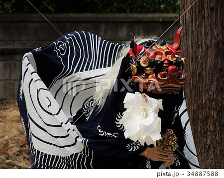 獅子舞（神社の境内） 34887588