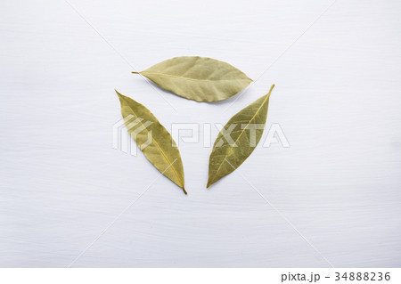 Dried bay leaves on white wooden background. Dried bay leaves on white wooden background. 34888236
