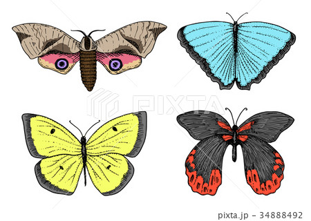tattoo or boho t-shirt or scrapbooking design 34888492