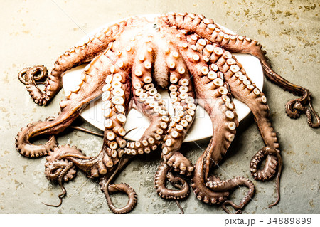 Seafood octopus. Whole fresh raw octopus on gray 34889899