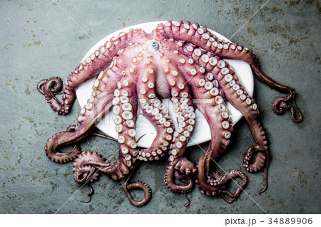 Seafood octopus. Whole fresh raw octopus on gray Seafood octopus. Whole fresh raw octopus on gray 34889906