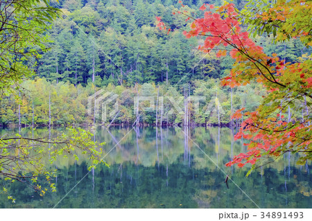 紅葉と自然湖２ 34891493