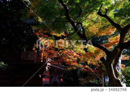 秋の情景 34892706