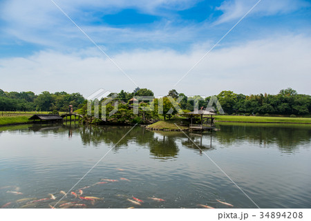 岡山 初夏の後楽園 池の鯉 日本三名園の一つ 岡山 初夏の後楽園 池の鯉 日本三名園の一つ 34894208