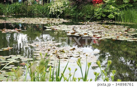 フランス ジベルニー　印象派画家モネの庭園　睡蓮 34898761