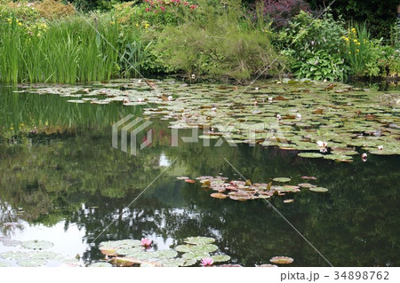 フランス ジベルニー 印象派画家モネの庭園 睡蓮 フランス ジベルニー 印象派画家モネの庭園 睡蓮 34898762