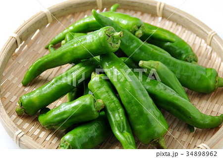 万願寺唐辛子 34898962