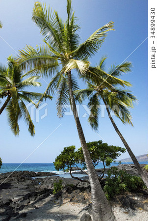 Limukoko Point,Big Island Hawaii 34899430