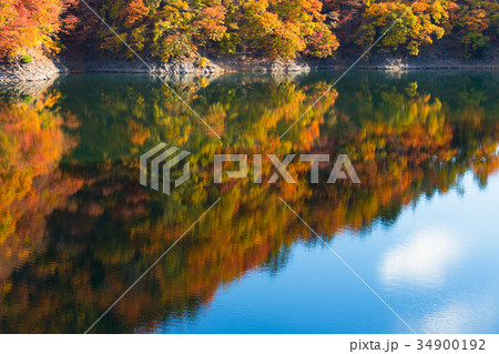 奥多摩湖 34900192