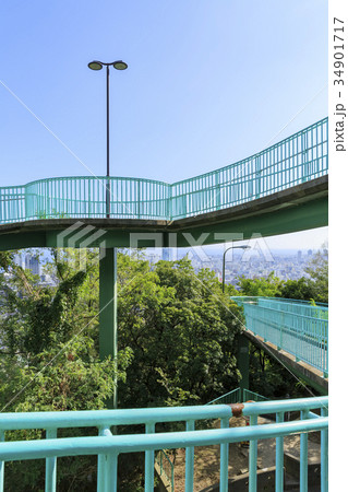 神戸・ビーナスブリッジ 34901717