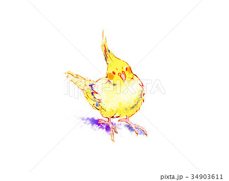 インコのイラスト素材