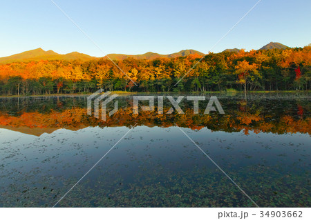 紅葉の 知床五湖 34903662