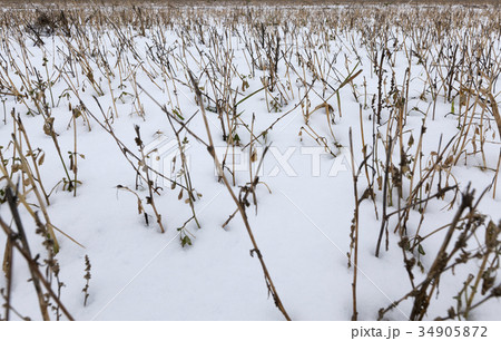 Snow drifts in winter 34905872