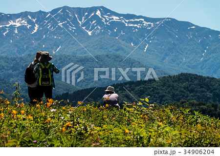白山高山植物園 34906204