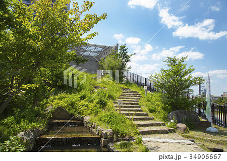 目黒天空庭園　おおはし里の杜 34906667