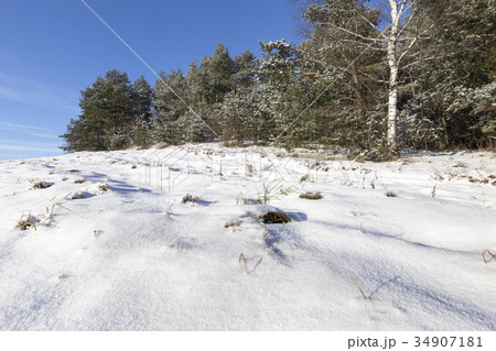 Winter forest, close-up Winter forest, close-up 34907181