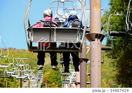 網張温泉休暇村　リフトで行く十和田八幡平の紅葉 34907429