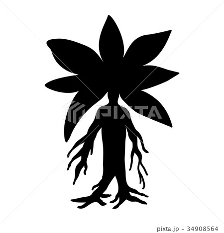 Mandragora plant silhouette ancient mythical 34908564