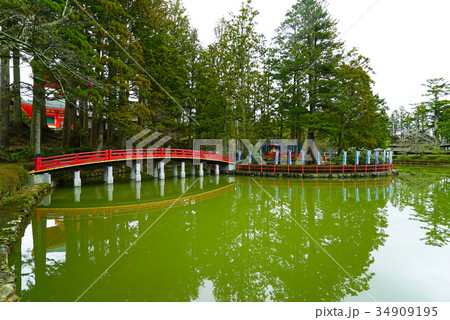 高野山　壇上伽藍の蓮池 34909195