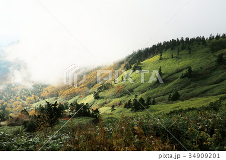渋峠より芳ヶ平湿地群を望む(秋の朝) 渋峠より芳ヶ平湿地群を望む(秋の朝) 34909201