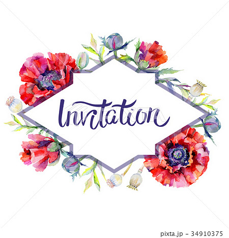 Wildflower poppy flower frame in a watercolor 34910375