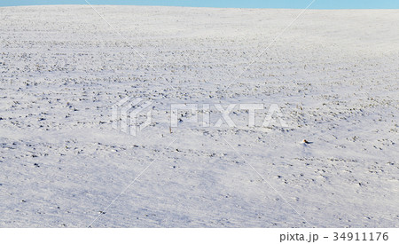 Snow drifts in winter Snow drifts in winter 34911176