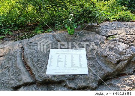 ストロベリー・フィールズ 34912391