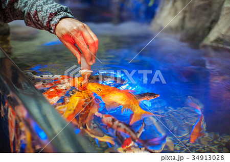 Feeding fish in aquarium 34913028