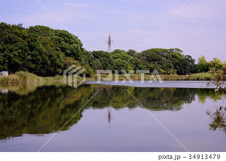 千鳥が池公園の風景 34913479