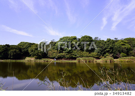 千鳥が池公園の風景 34913482