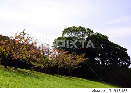 千鳥が池公園の風景 34913483