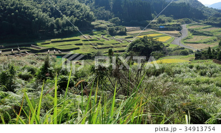 岩下の棚田 34913754