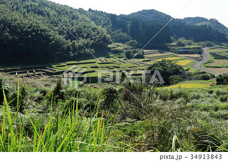 岩下の棚田 岩下の棚田 34913843