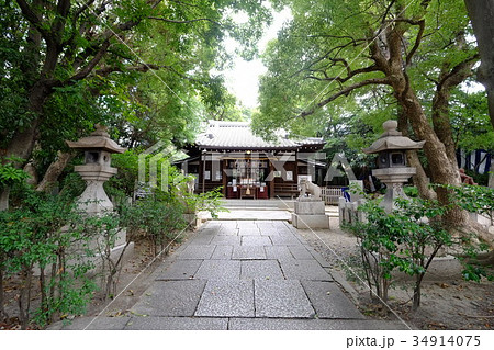 安居神社(社殿) 安居神社(社殿) 34914075