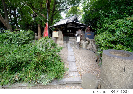 安居神社(右から) 安居神社(右から) 34914082