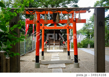 安居神社(稲荷神社) 安居神社(稲荷神社) 34914108
