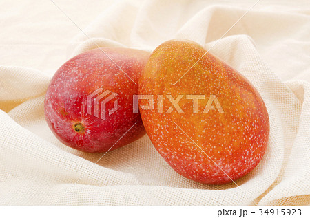 アップルマンゴー アップルマンゴー 34915923