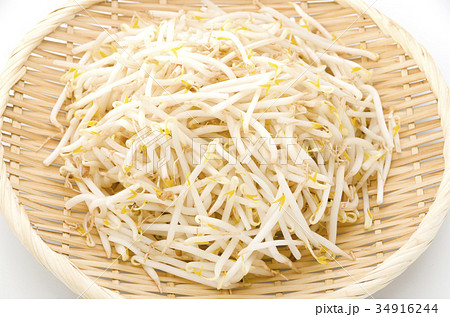 もやし 34916244