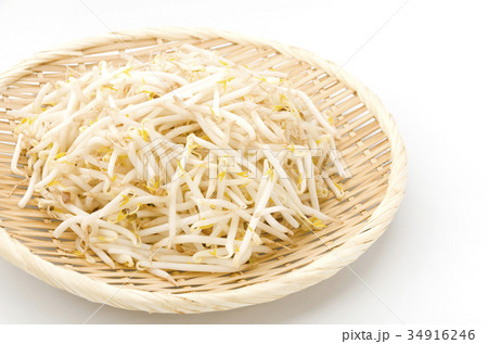 もやし 34916246