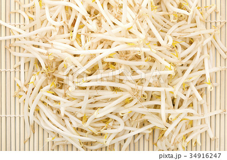 もやし 34916247
