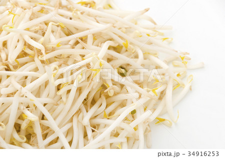 もやし もやし 34916253