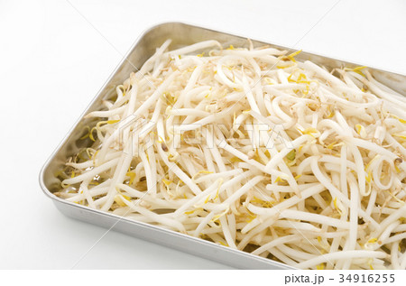 もやし もやし 34916255