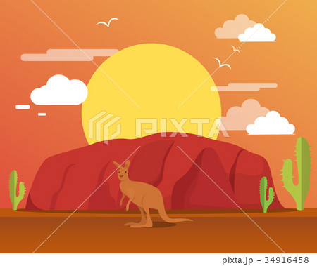 Kangaroo in desert and mountain for traveling 34916458