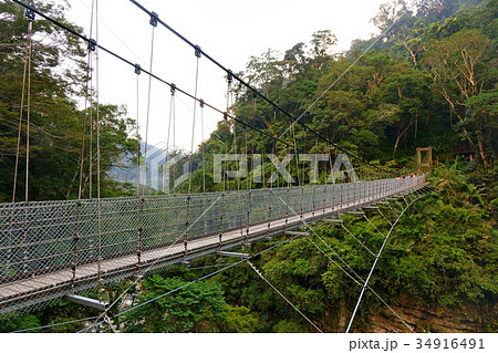 Suspension bridge in Nanzhuang shenxian valley Suspension bridge in Nanzhuang shenxian valley 34916491