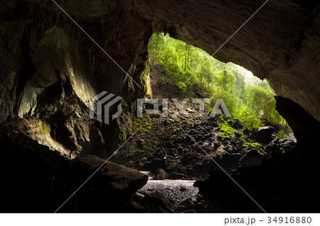 Deer cave in gunung mulu national park 34916880